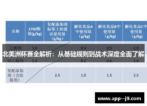 北美洲杯赛全解析：从基础规则到战术深度全面了解