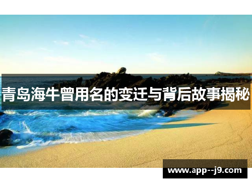 青岛海牛曾用名的变迁与背后故事揭秘
