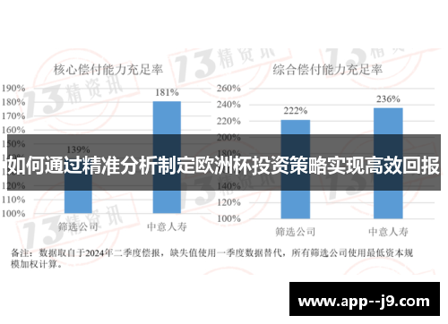 如何通过精准分析制定欧洲杯投资策略实现高效回报
