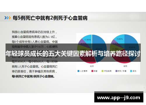 年轻球员成长的五大关键因素解析与培养路径探讨